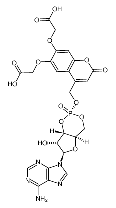 cyclic adenosine-3',5'-monophosphate [6,7-bis(carboxymethoxy)coumarin-4-yl]methyl ester